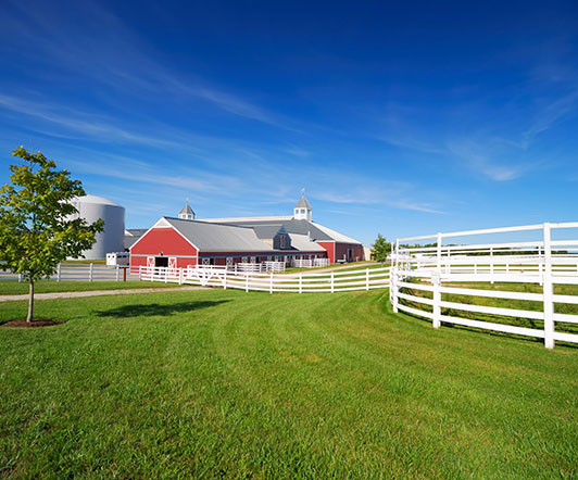 Property Portfolio