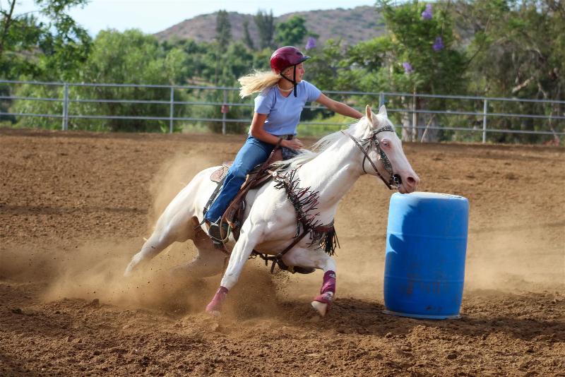 Horse-Riding-2