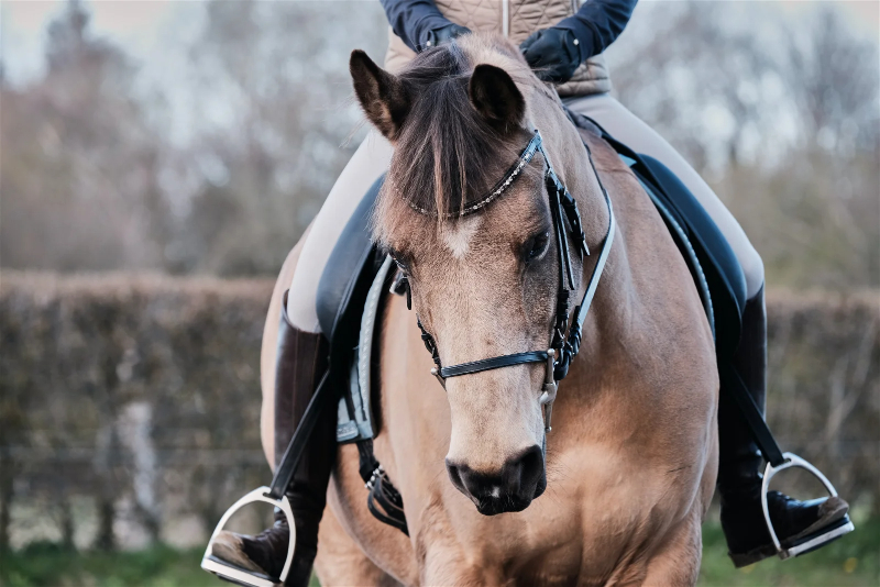 Horse-Riding-3