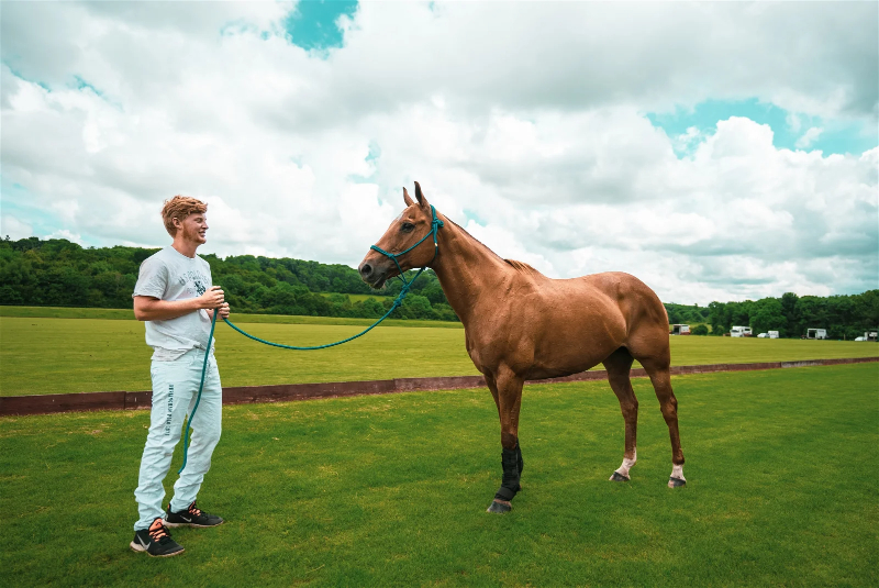 ManAndHorse