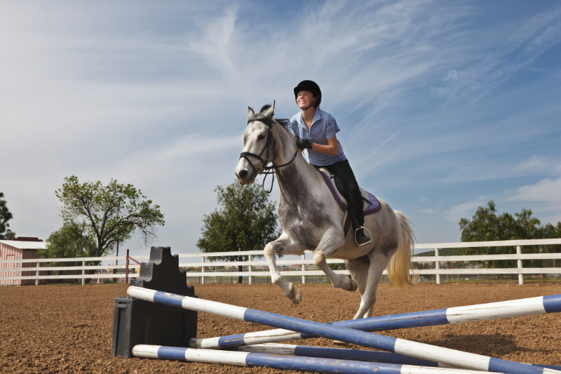 Horse Obstacle Course Ideas for Your Las Vegas, NV Horse Property